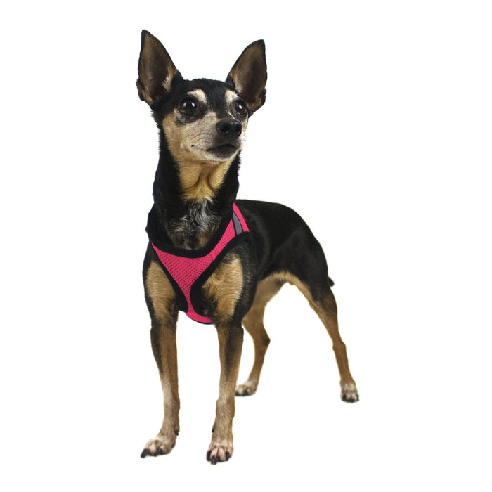 
                  
                    DOGLINE - York Nylon Mesh Harness
                  
                