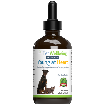 Young at Heart - for Healthy Heart Maintenance in Dogs