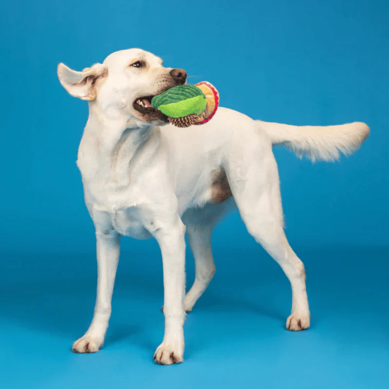 
                  
                    Fringe Studio - Dog - Toy - Plush - Avo-Fiesta
                  
                