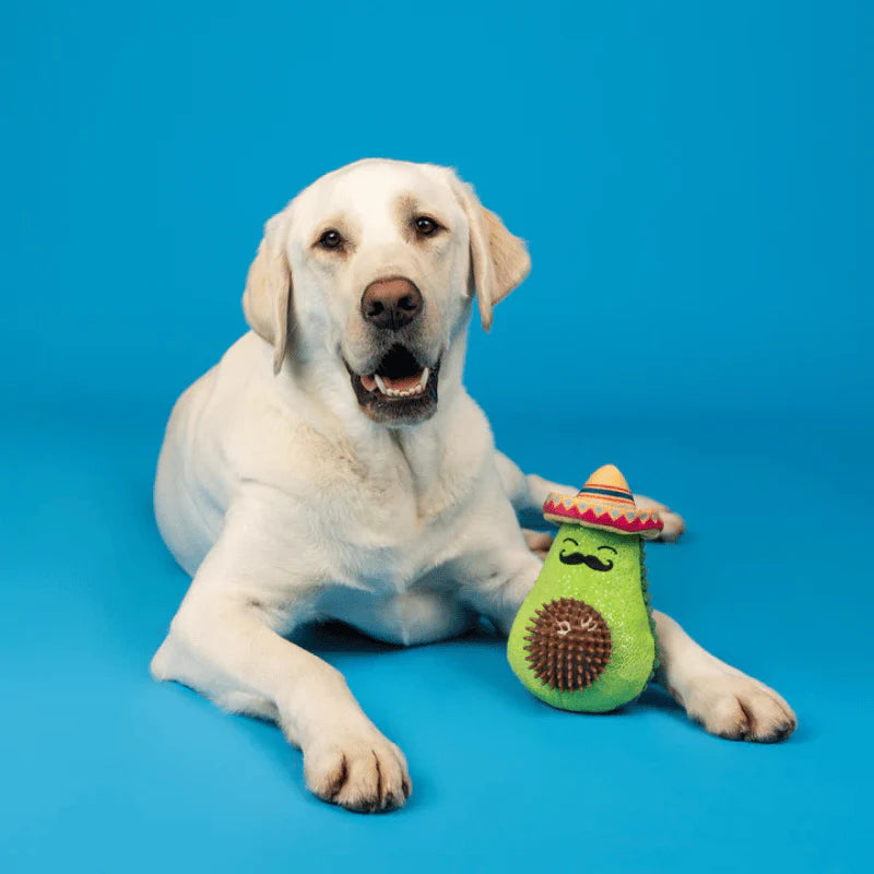 
                  
                    Fringe Studio - Dog - Toy - Plush - Avo-Fiesta
                  
                