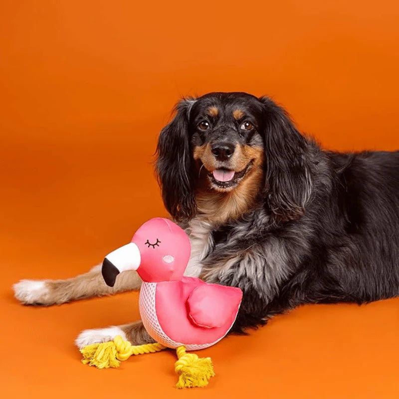 
                  
                    Fringe Studio - Dog - Toy - Floating - Be Flamazing
                  
                