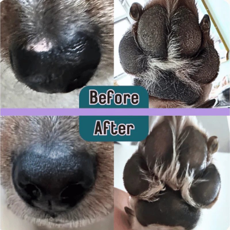 
                  
                    Barks & Boops - Barrier Booster - Coconut & Oat - Tin - 50g
                  
                