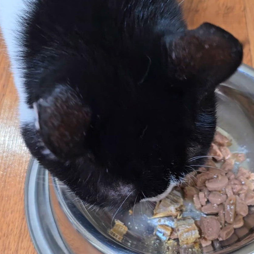 
                  
                    maplepaw LAB, Freeze-Dried Capelin
                  
                