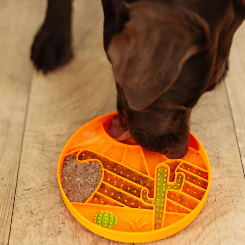 
                  
                    Messy Mutts - Interactive Bowl - Silicone - Orange Desert Pattern
                  
                