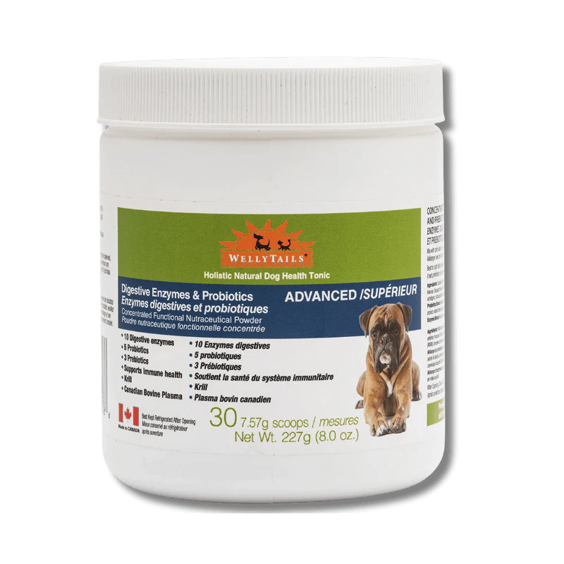 Welly Tails - Digestive Enzymes & Probiotics Advanced