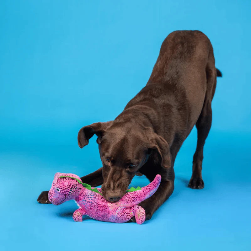 
                  
                    Fringe Studio - Dog - Toy - Plush - Embrace Your Colors
                  
                