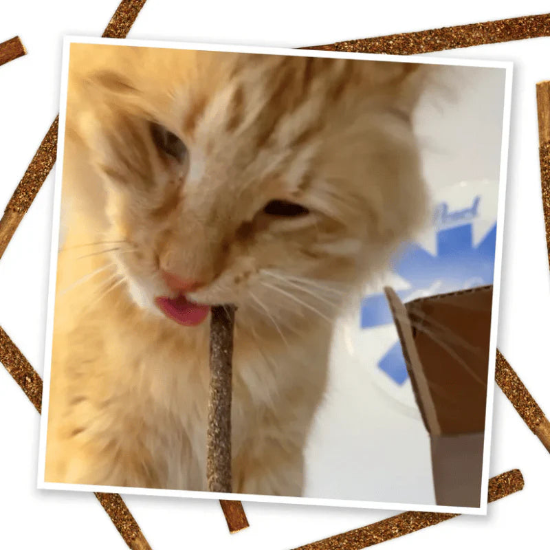 
                  
                    Meowijuana - Catnip - Sticks - Fruit - Silvervine
                  
                