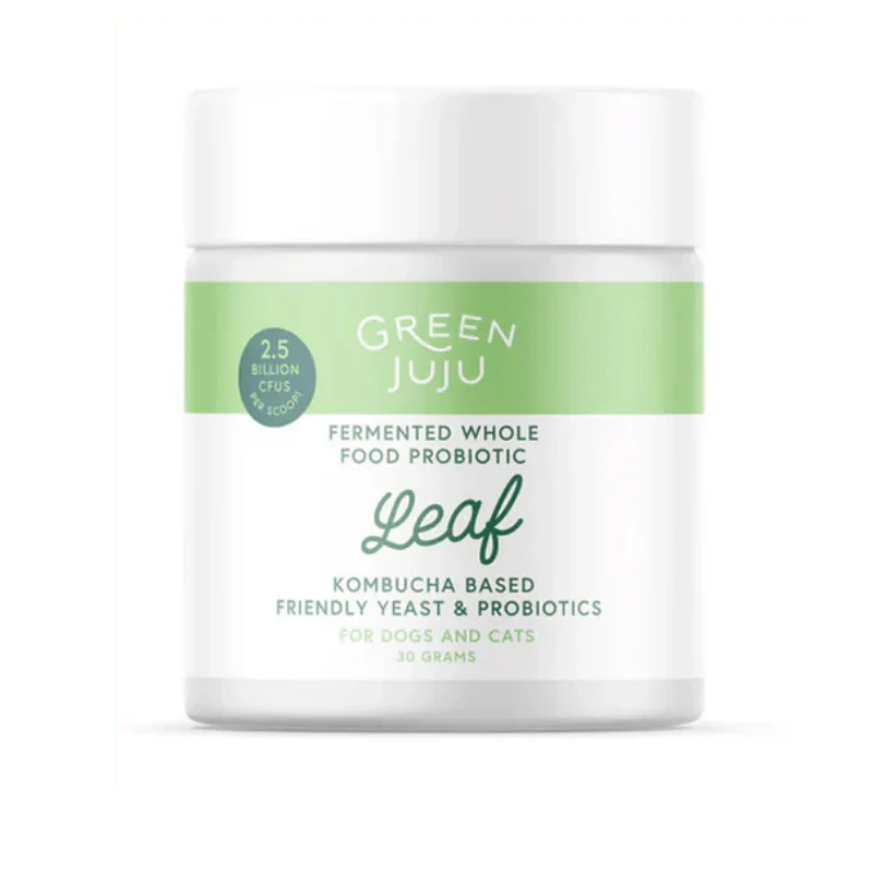 Green Juju - Probiotic - Leaf (Blueberry Kombucha) - 30g