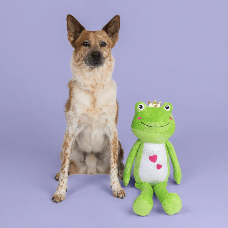 
                  
                    Fringe Studio - Dog - Toy - Plush - Large - Hop Into My Life
                  
                