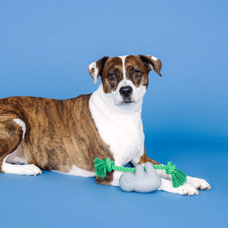 
                  
                    Fringe Studio - Dog - Toy - Durable - Rubber - Dura Club - How's It Hanging?
                  
                