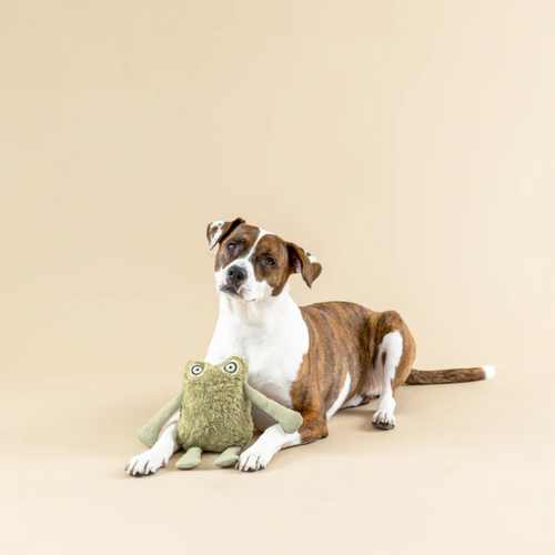 
                  
                    Fringe Studio - I Jump Around 3D - Earth Friendly - Dog Toy
                  
                