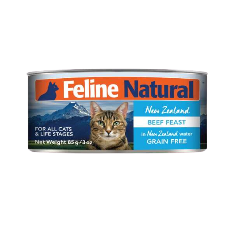 Feline Natural - Beef Feast Can