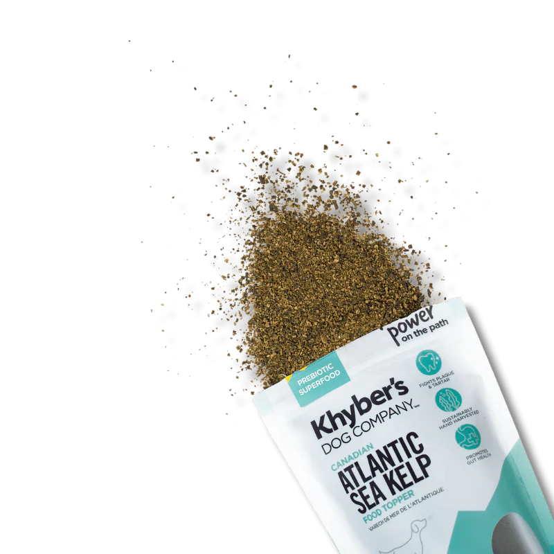 
                  
                    Khyber's - Supplement - Atlantic Sea Kelp - Immune Booster - 250g
                  
                