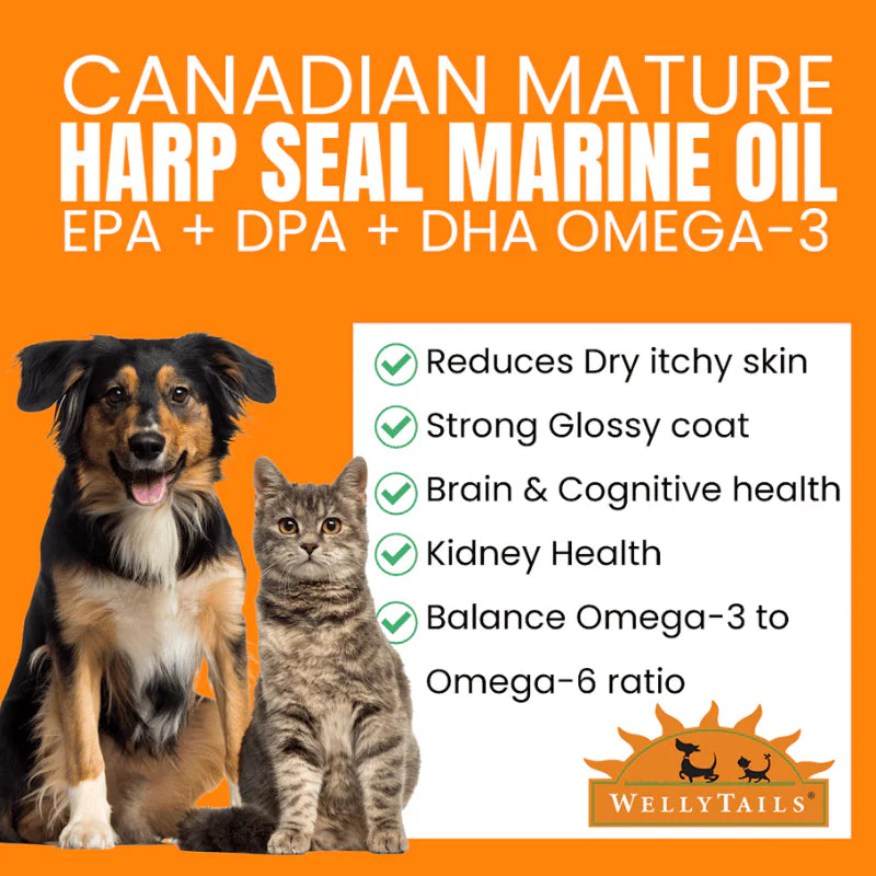 
                  
                    Welly Tails - Mature Harp Seal Marine Oil - 400ml
                  
                