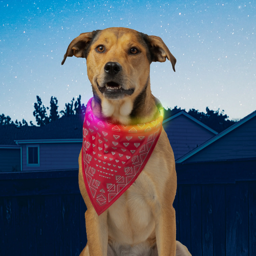 NITE IZE - NiteHowl® Bandana Rechargeable LED Safety Necklace - Disc-O Select™