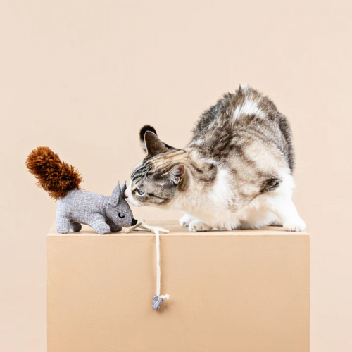 
                  
                    Fringe Studio - One Tuff Nut Teaser Cat Toy
                  
                