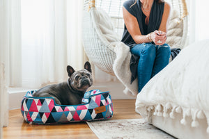 
                  
                    PLAY - Bed - Dog - Lounge - Mosaic
                  
                