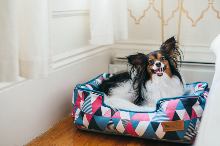 
                  
                    PLAY - Bed - Dog - Lounge - Mosaic
                  
                