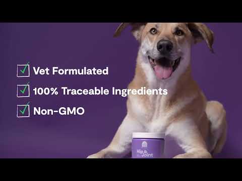 
                  
                    Load and play video in Gallery viewer, Open Farm - Dog Supplement Hip &amp;amp; Joint Chews 90ct
                  
                