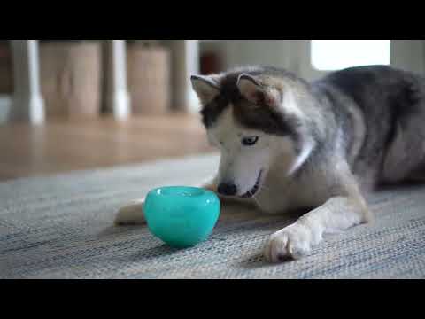 
                  
                    Load and play video in Gallery viewer, Totally Pooched - Stuff&amp;#39;n Wobble Ball - 3.9&amp;quot;
                  
                