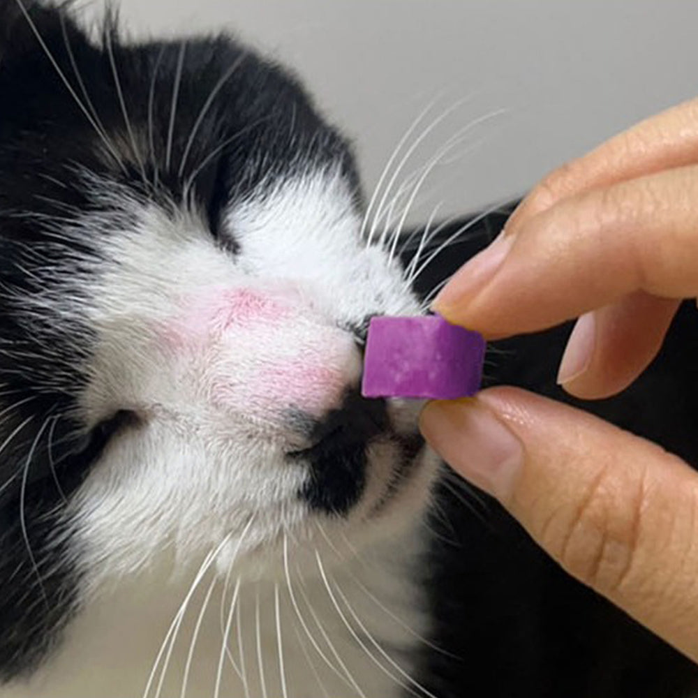 
                  
                    maplepaw LAB, Freeze-Dried Purple Sweet Potatoes
                  
                