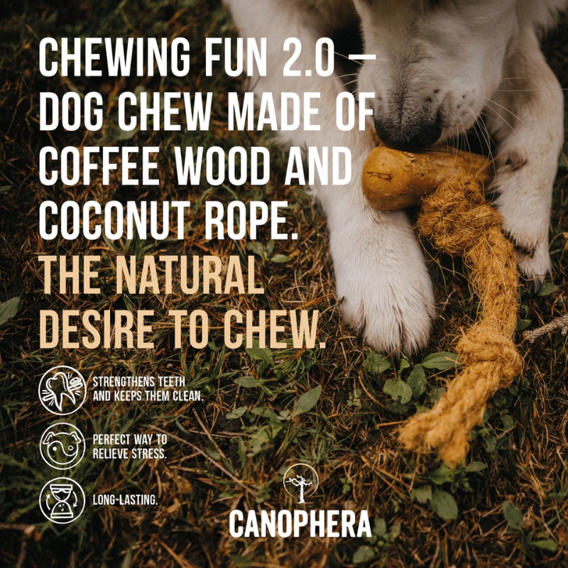 
                  
                    Canophera - Dog Chew with Coconut Rope
                  
                