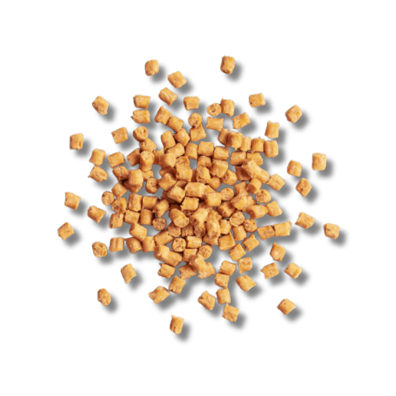 
                  
                    polkadog - Salmon Says - Bits
                  
                