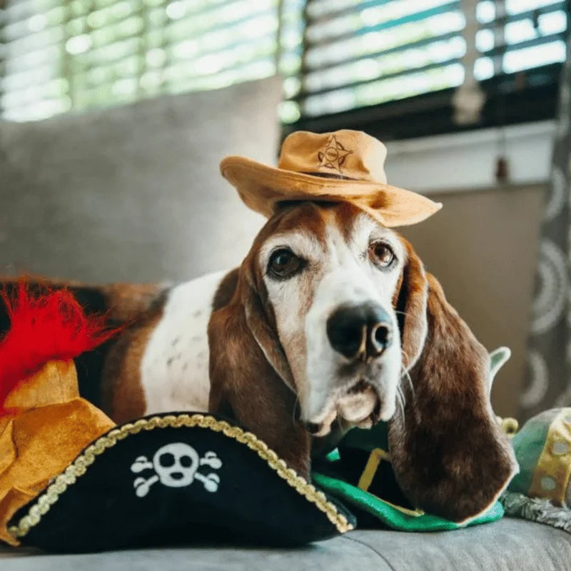 
                  
                    PLAY - Mutt Hatter Collection - Sheriff
                  
                