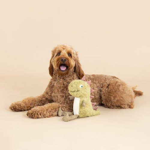 
                  
                    Fringe Studio - Small Arms Big Heart - Earth Friendly - Dog Toy
                  
                