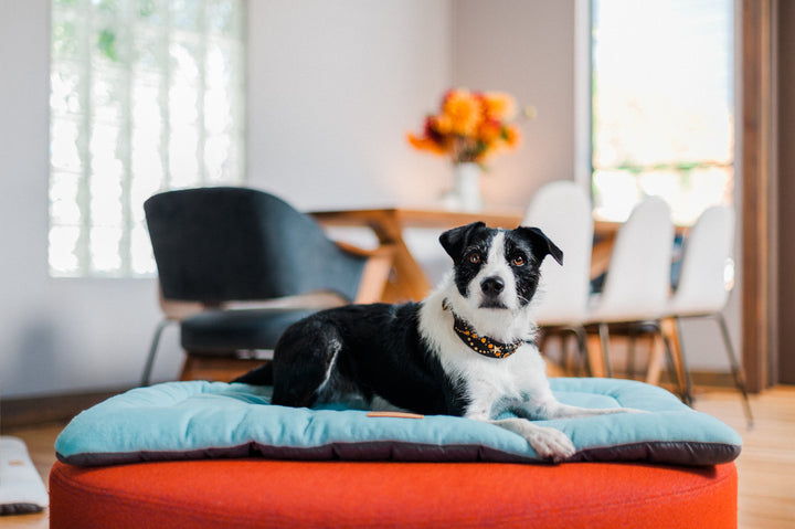 
                  
                    PLAY - Chill Pad - Vermilion
                  
                