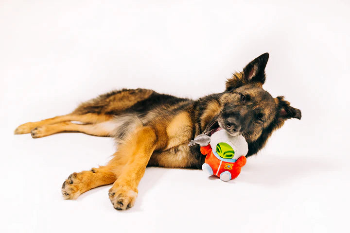 
                  
                    PLAY - Alien Buddies - Astro Explorer
                  
                