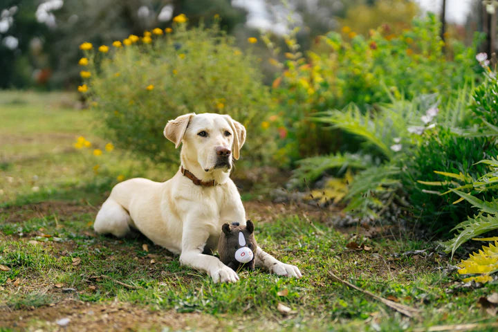 
                  
                    PLAY - Barnyard Buddies - Horse
                  
                