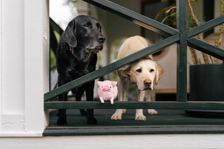 
                  
                    PLAY - Barnyard Buddies - Pig
                  
                