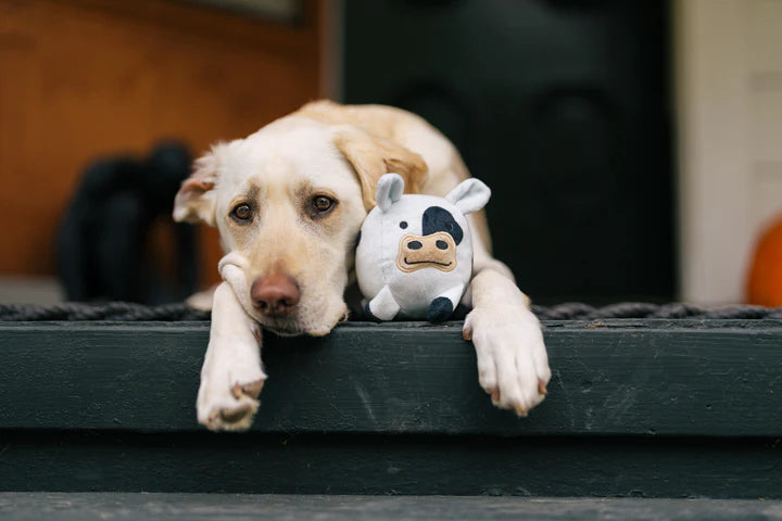 
                  
                    PLAY - Barnyard Buddies - Cow
                  
                