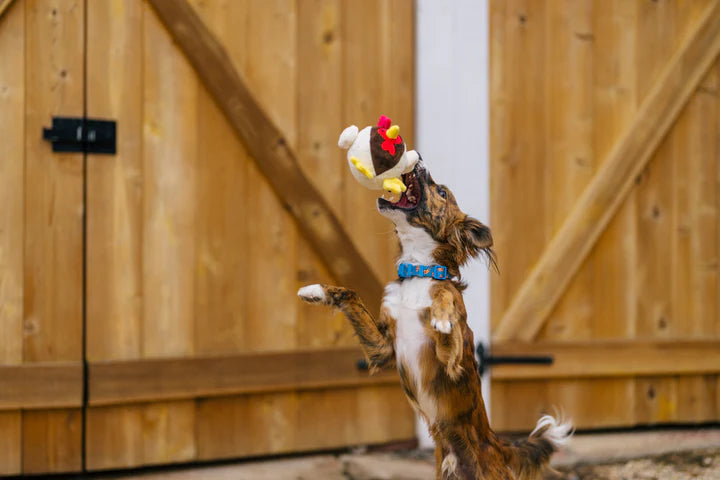 
                  
                    PLAY - Barnyard Buddies - Rooster
                  
                