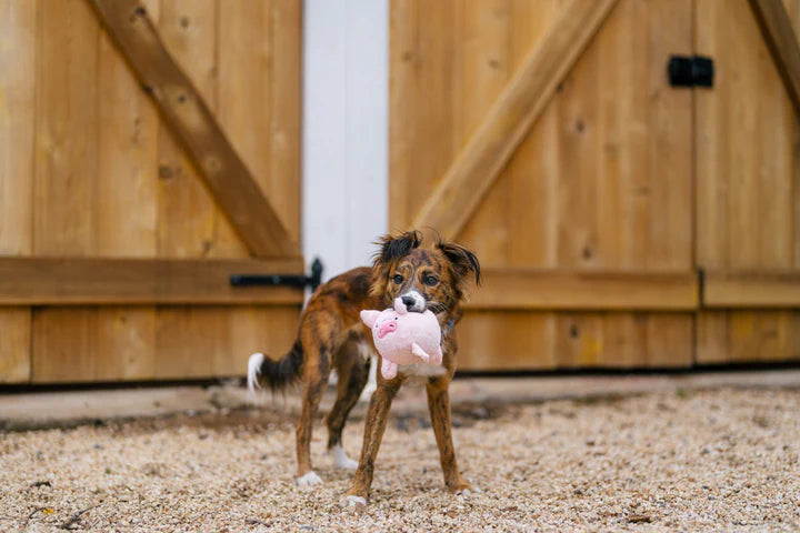 
                  
                    PLAY - Barnyard Buddies - Pig
                  
                