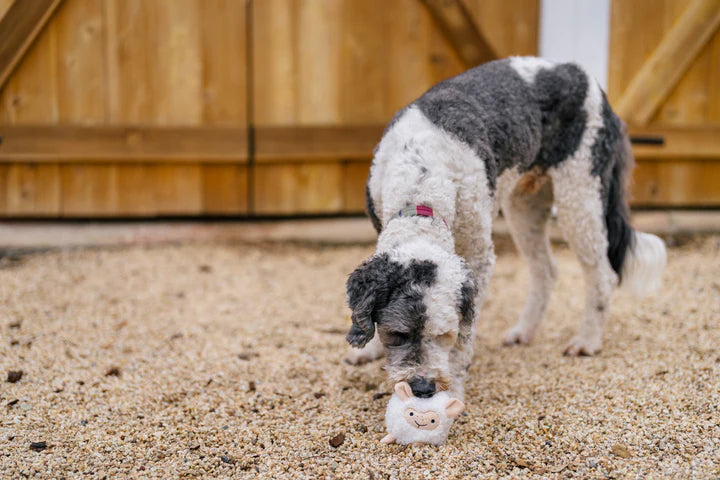 
                  
                    PLAY - Barnyard Buddies - Sheep
                  
                