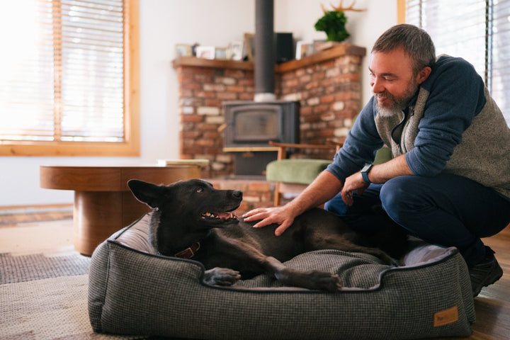 
                  
                    PLAY - Lounge Bed - Houndstooth - Black/Grey
                  
                