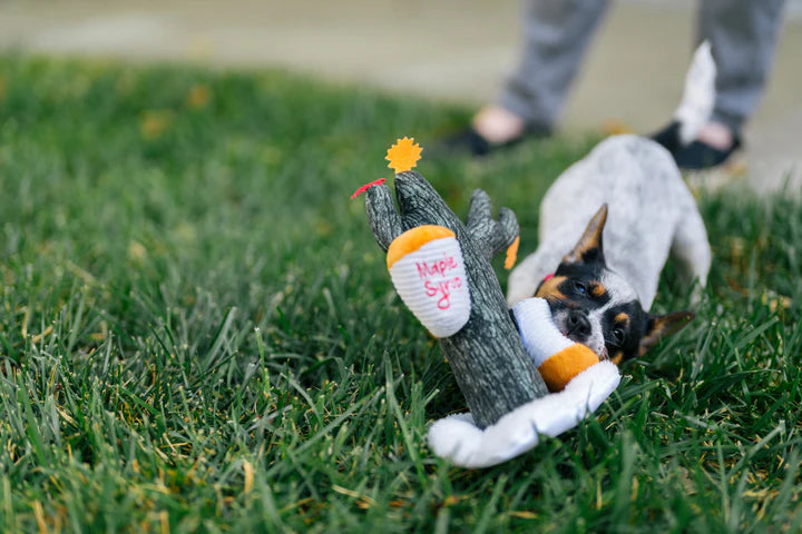 
                  
                    PLAY x Earth Rated - Barking Up The Maple Tree
                  
                