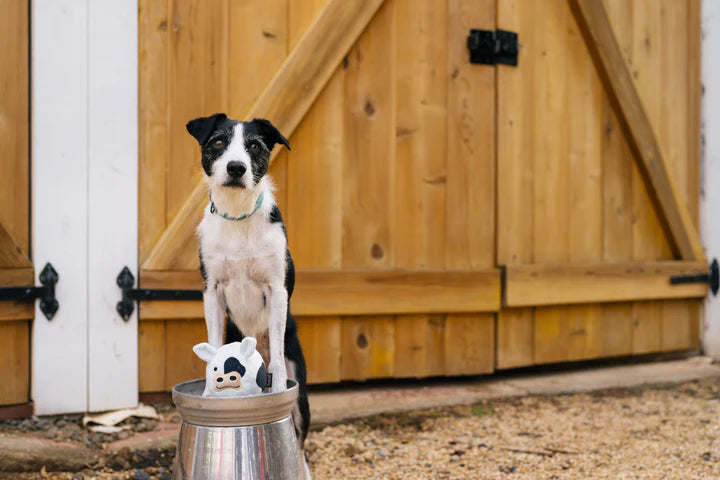 
                  
                    PLAY - Barnyard Buddies - Cow
                  
                