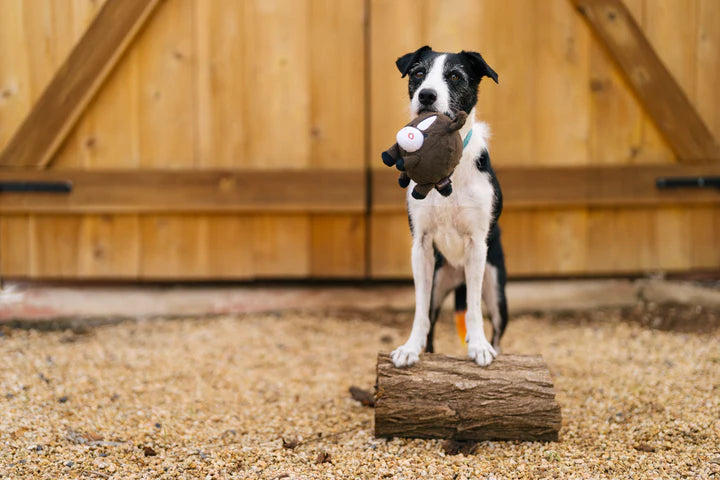 
                  
                    PLAY - Barnyard Buddies - Horse
                  
                