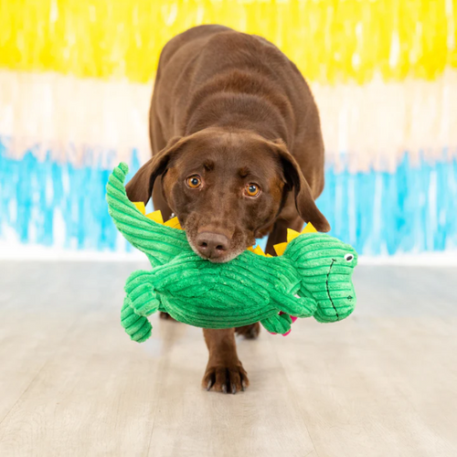 
                  
                    Fringe Studio - Thorny but Cute - Plush Dog Toy
                  
                