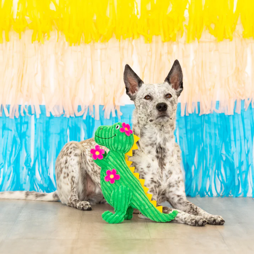 
                  
                    Fringe Studio - Thorny but Cute - Plush Dog Toy
                  
                