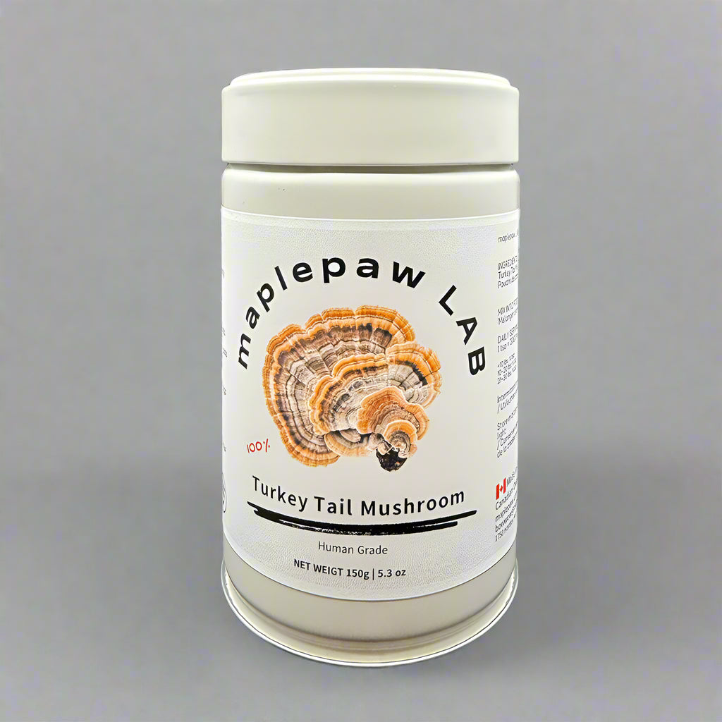 maplepaw LAB, Turkey Tail Mushroom, Immune Support