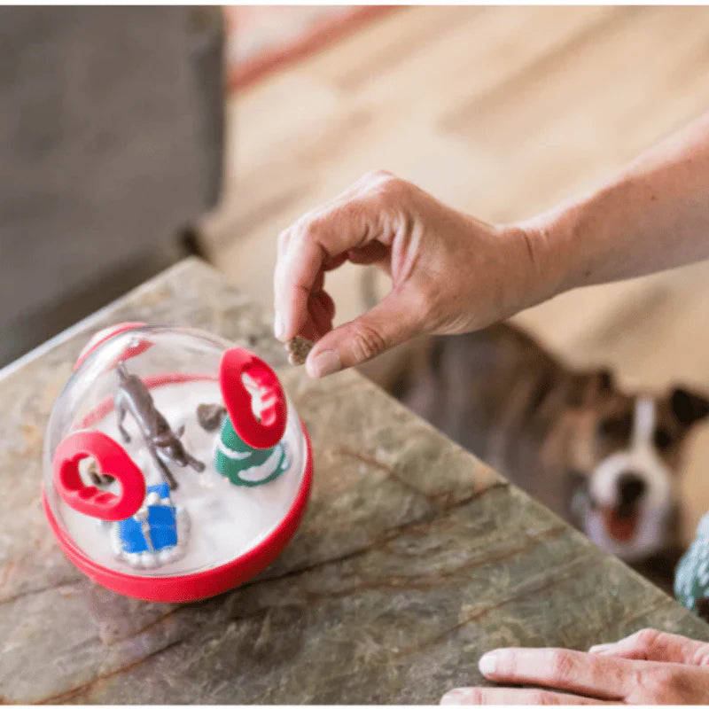 
                  
                    PLAY - Wobble Ball - Holiday
                  
                