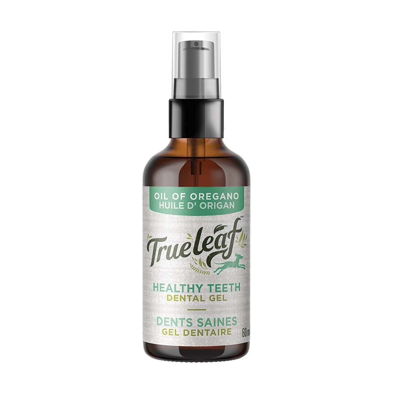 True Leaf - Healthy Teeth Oil of Oregano Dental Gel - 60 mil