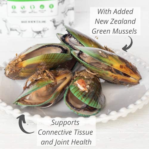 
                  
                    NZ Natural Pet Food Co - Freeze Dried - Treats - Meow - Green Lipped Mussels Treats 50g
                  
                