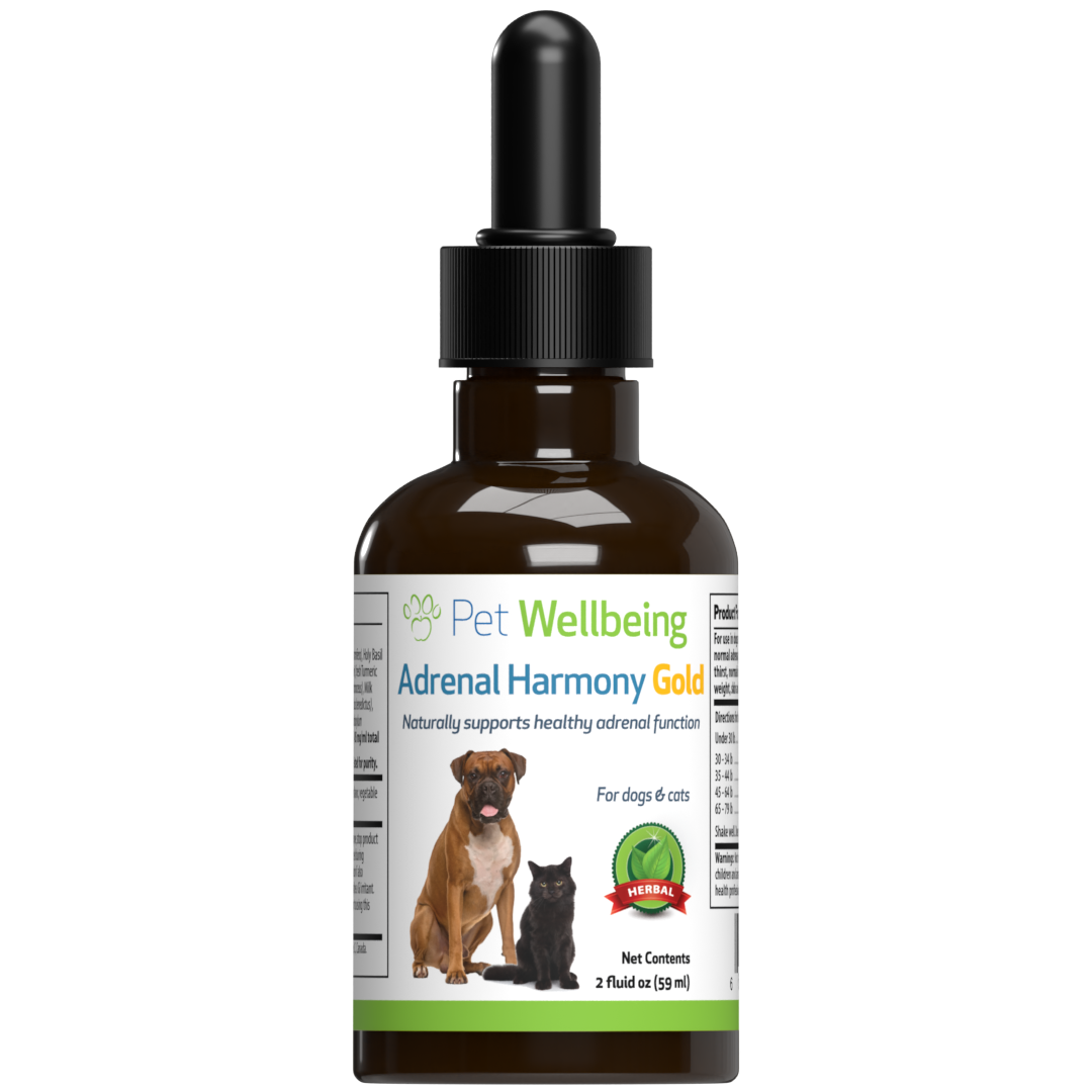 
                  
                    Adrenal Harmony Gold - for Dog Cushing's
                  
                