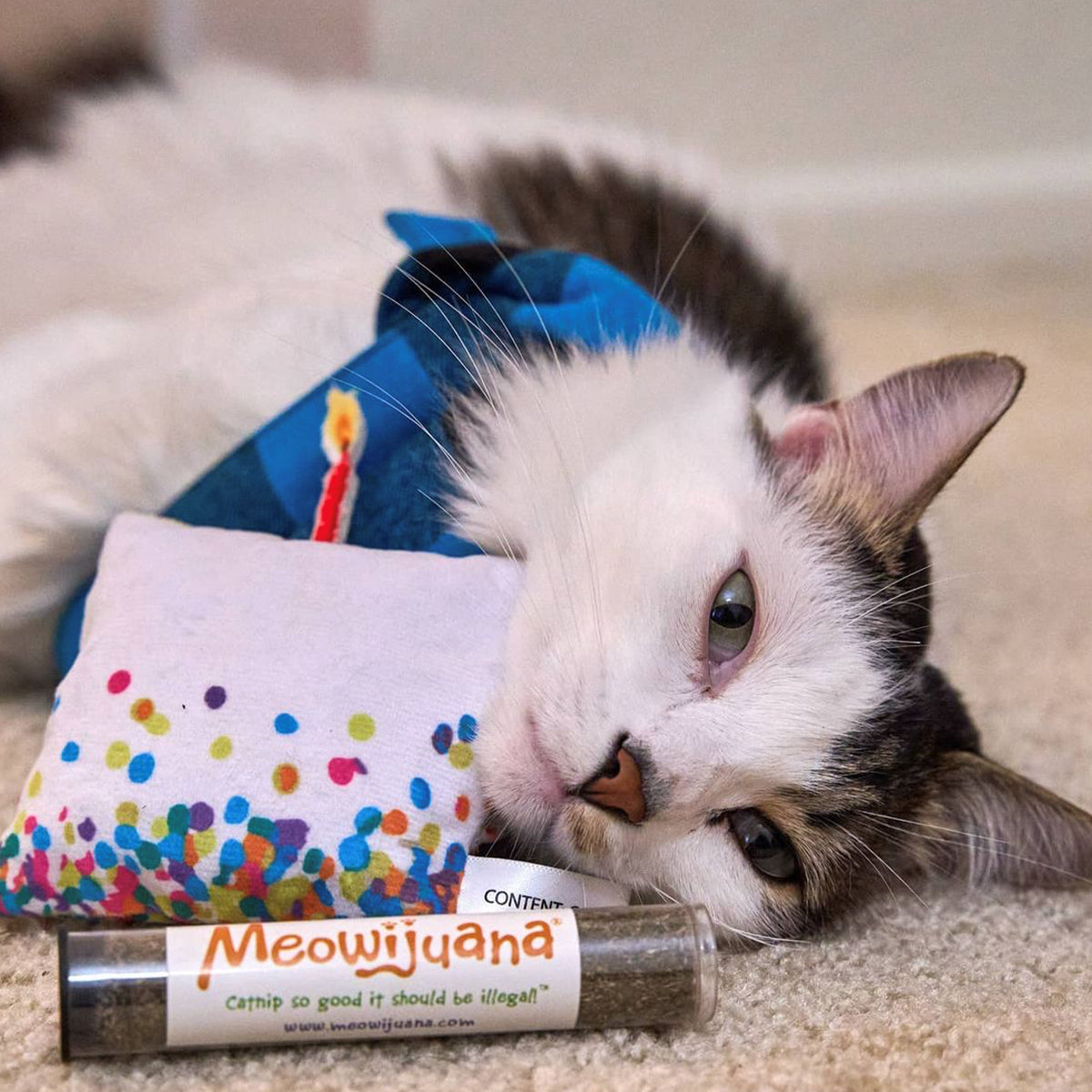 
                  
                    Meowijuana - Get Lit Birthday Cake
                  
                