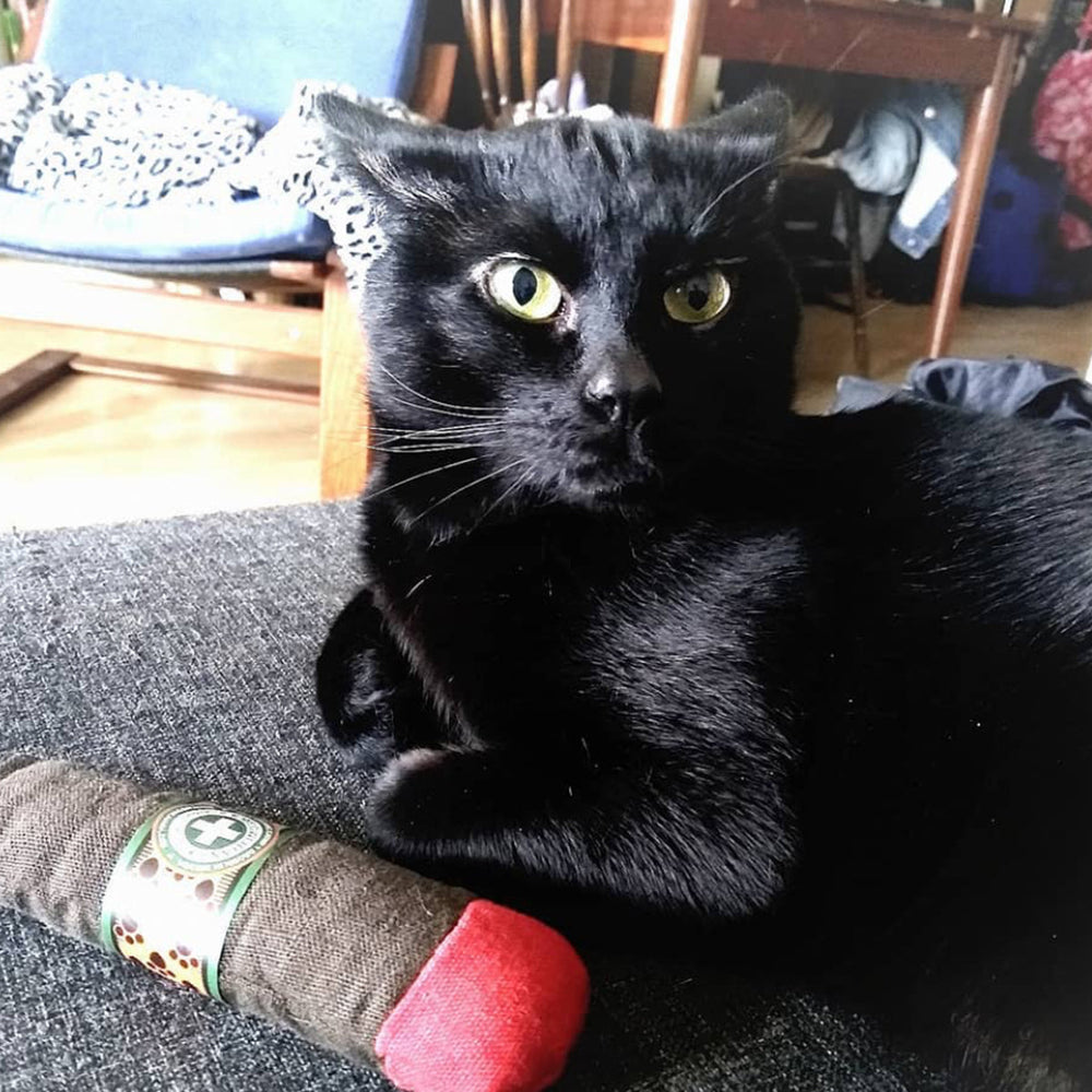 
                  
                    Meowijuana - Catnip Cigar
                  
                